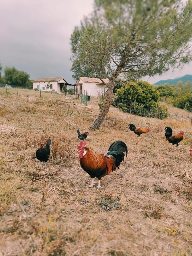 ファシナス Complejo Rural Del Molino Doradoヴィラ エクステリア 写真