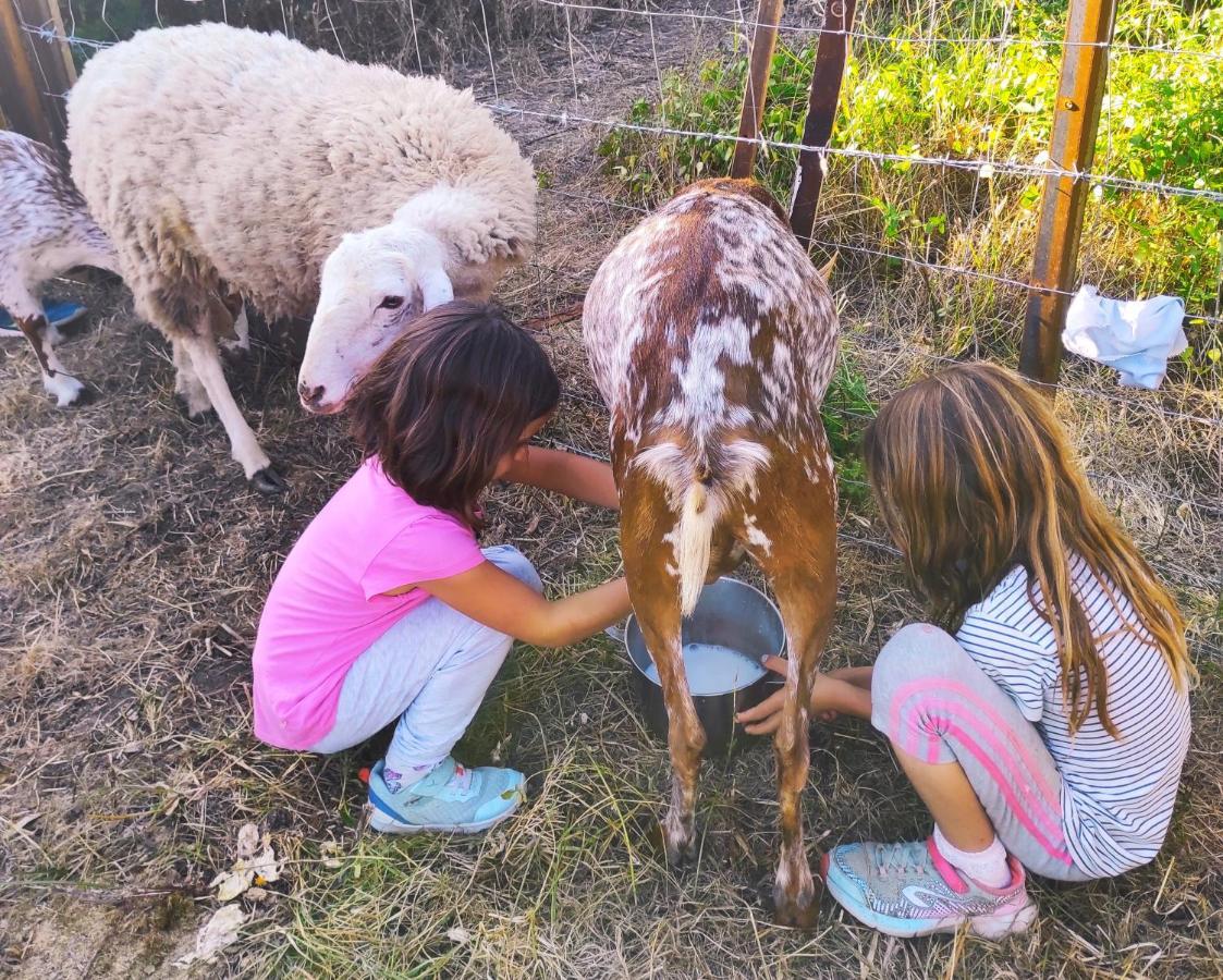 ファシナス Complejo Rural Del Molino Doradoヴィラ エクステリア 写真