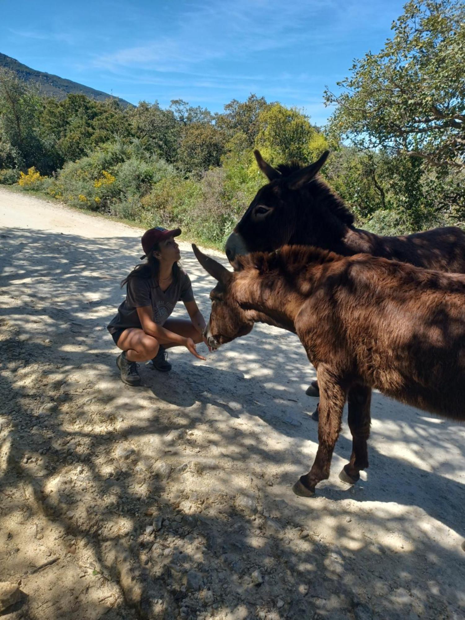 ファシナス Complejo Rural Del Molino Doradoヴィラ エクステリア 写真