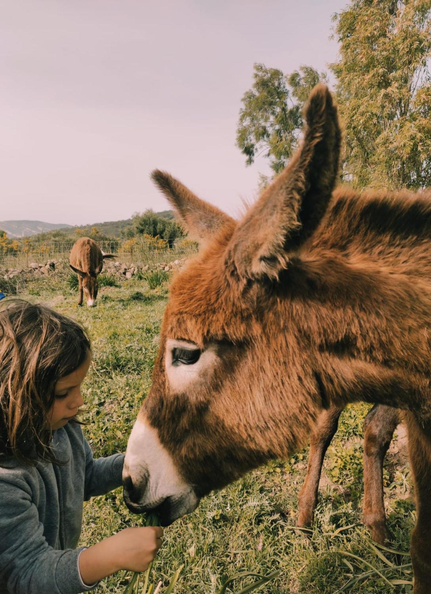 ファシナス Complejo Rural Del Molino Doradoヴィラ エクステリア 写真